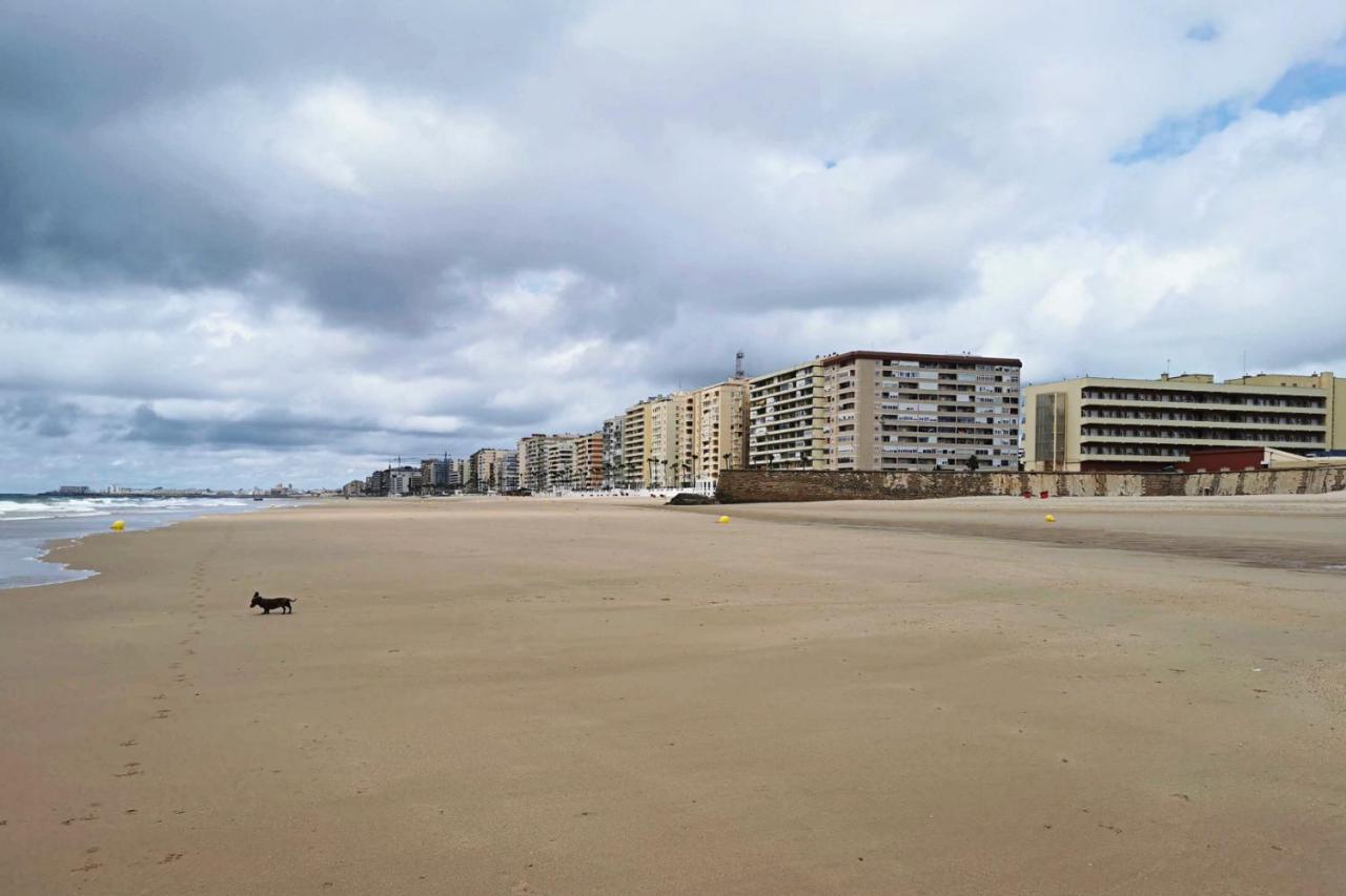 Romantica Vista Al Paseo Maritimo De Cádiz Exteriör bild